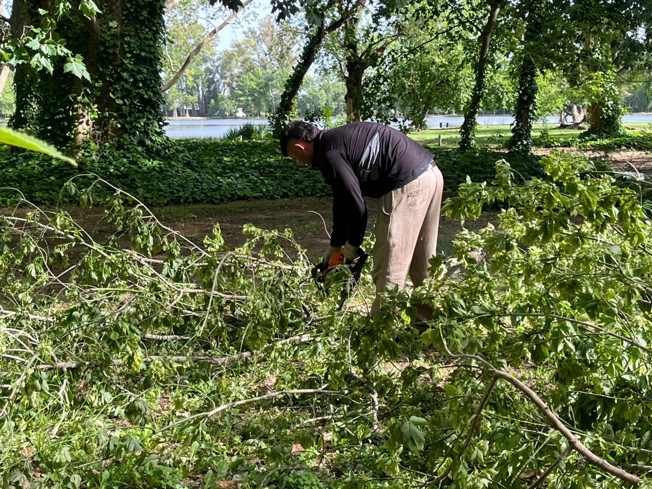 CONTINÚAN LOS TRABAJOS DEL MUNICIPIO TRAS EL TEMPORAL